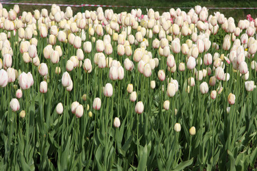 Similar image 268832