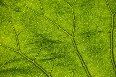 Similar image 268873