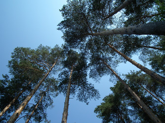 Similar image 268895