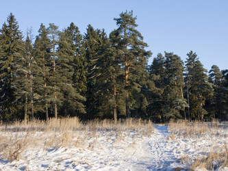 Similar image 269001