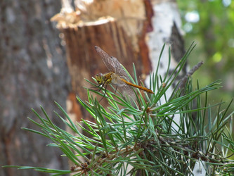 Similar image 269013