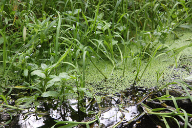 Similar image 269069