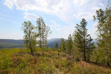 Similar image 269077