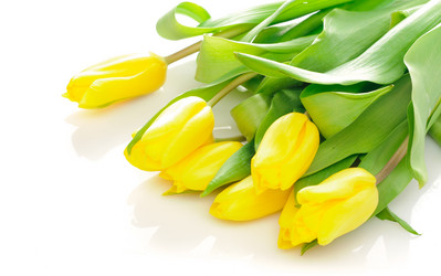 Similar image 269160