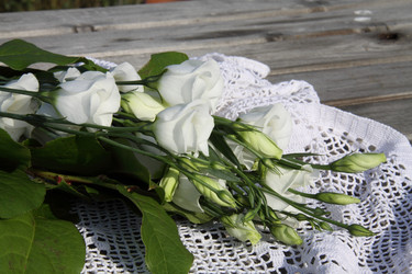 Similar image 269178