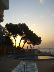 Similar image 269205