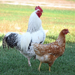 Similar image 269213