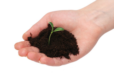 Similar image 269275