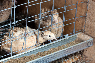 Similar image 269276