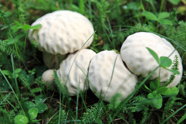 Similar image 269293