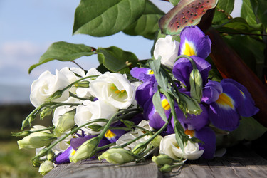 Similar image 269363