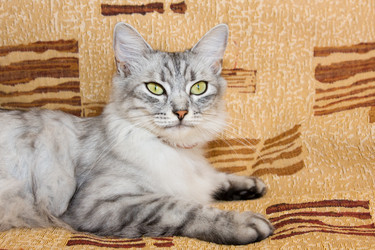 Similar image 269365