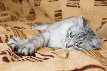 Similar image 269367