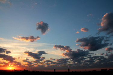 Similar image 269372