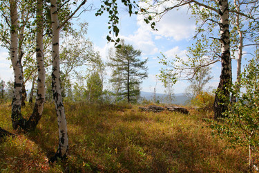 Similar image 269425