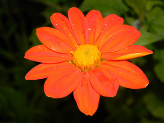 Similar image 269431