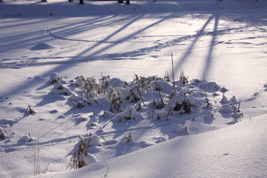 Similar image 269440