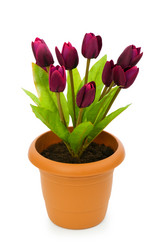 Similar image 269507