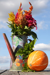 Similar image 269509