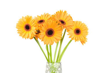 Similar image 269542