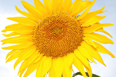 Similar image 269569