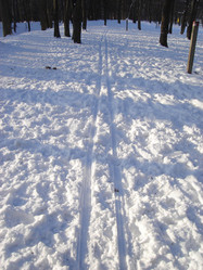 Similar image 269575