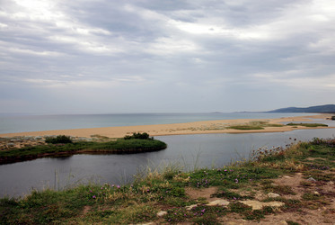 Similar image 269606