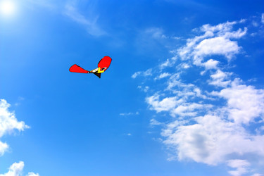 Similar image 269609