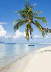 Similar image 269615