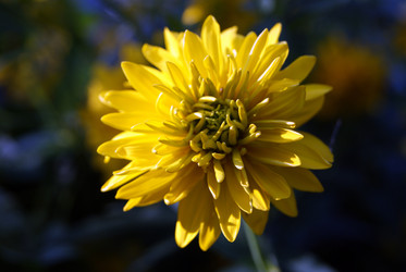 Similar image 269619