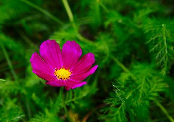 Similar image 269621