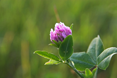 Similar image 269622