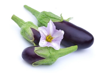 Similar image 269629