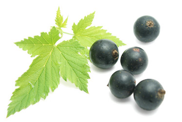 Similar image 269637