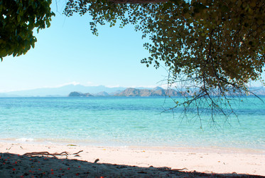 Similar image 269672