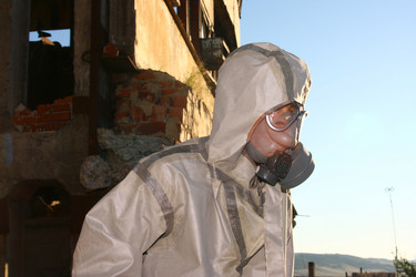 Similar image 269726