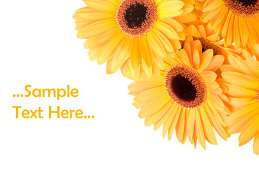 Similar image 269729