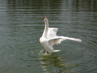 Similar image 269762