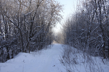 Similar image 269764