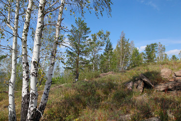 Similar image 269765