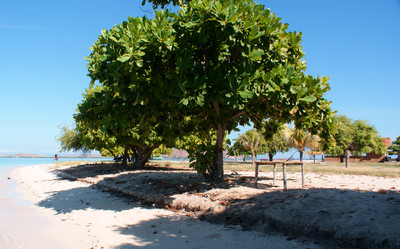 Similar image 269782