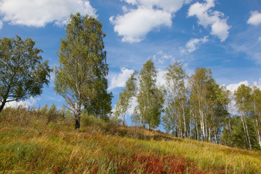 Similar image 269796