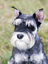 Similar image 269799