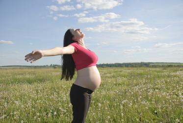 Similar image 269869