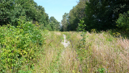 Similar image 269898