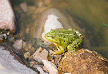 Similar image 269911