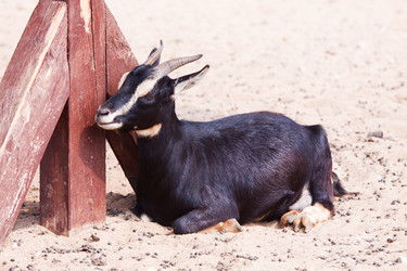 Similar image 269922