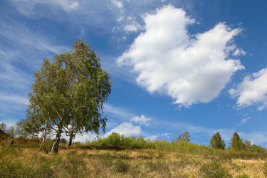 Similar image 269927