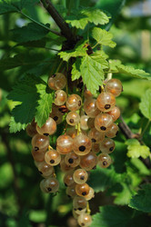 Similar image 269930