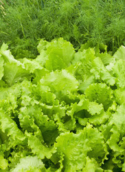 Similar image 269935